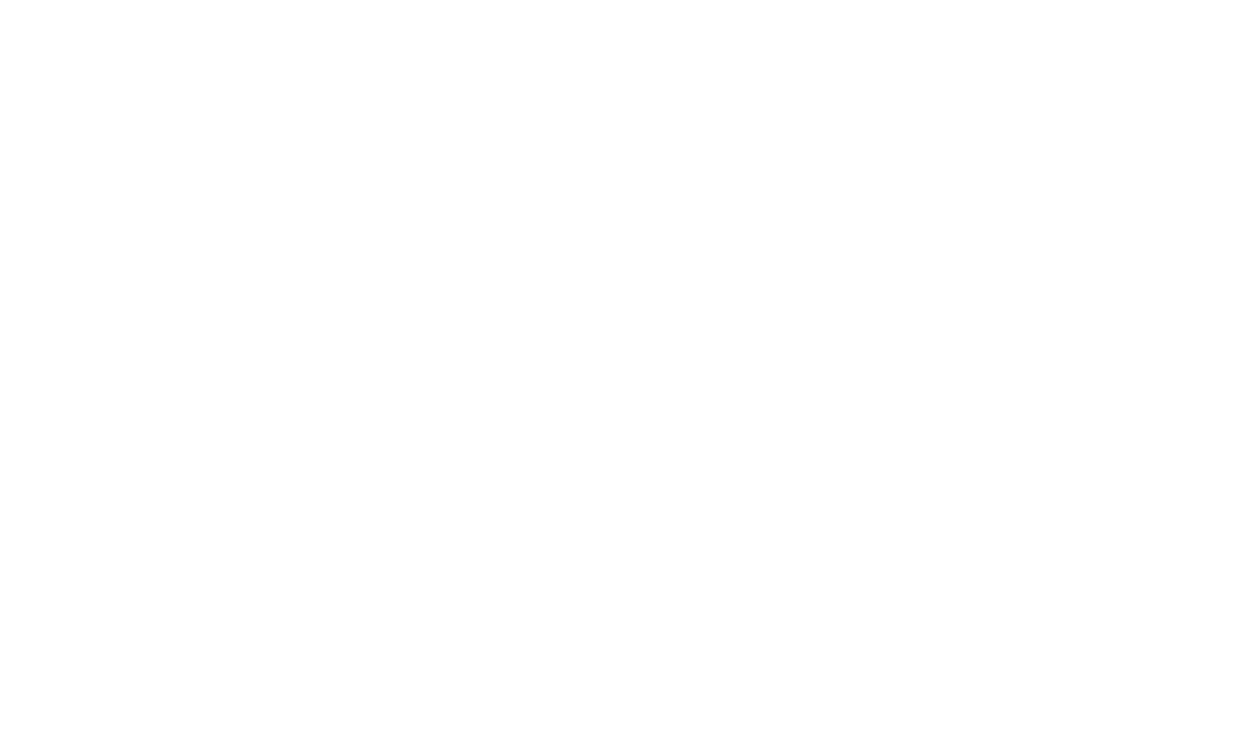smartteri.fi kunsultointiyrityksen logo valkoisena läpinäkyvällä taustalla